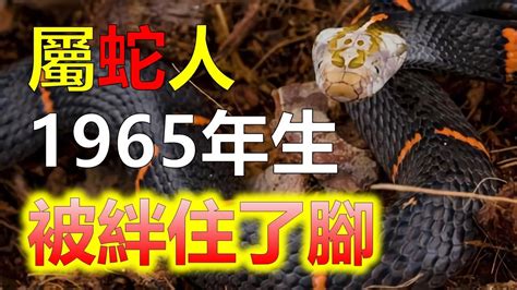 1965年屬蛇|生肖蛇: 性格，愛情，2024運勢，生肖1989，2001，2013